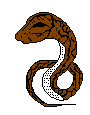 python24